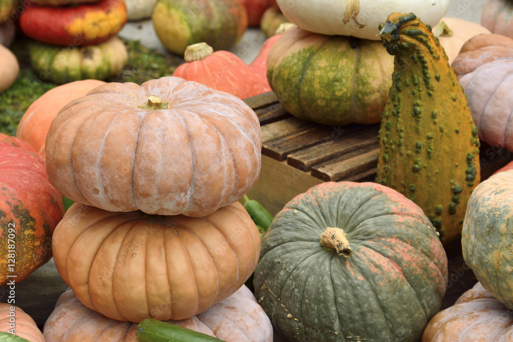Pumpkins at Halloween and pumpkin market in USA. Pumpkins at Halloween and pumpkin market in USA.