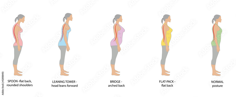 types of posture women. vector illustration. Stock Vector