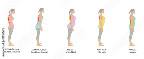types of posture women. vector illustration.