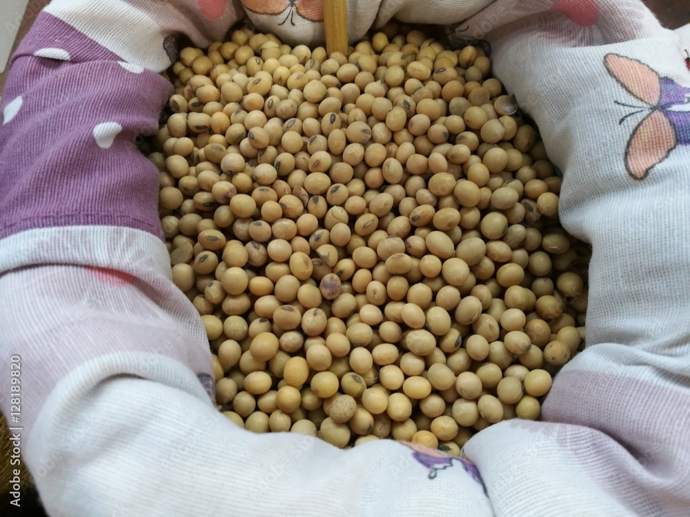 yellow soybeans StockFoto Adobe Stock