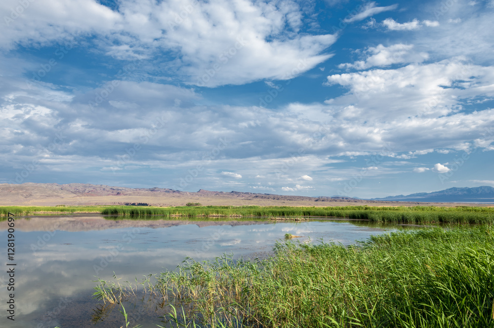 river in steppe. prairie
