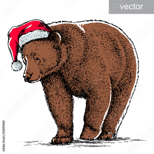 Brown bear, black and white engrave. Christmas hat. Vector