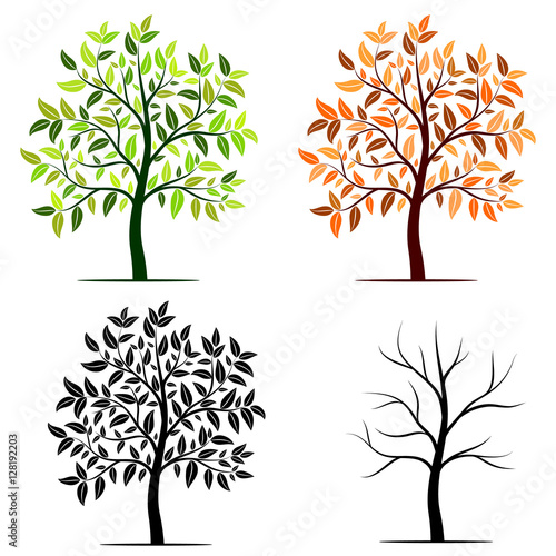 Seasons of tree vector background
