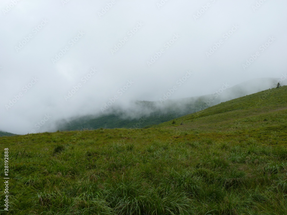 Foggy mountains forest and meadow. Beautiful landscape rainy clouds moody weather colors scenic background. Bieszczady mountains, Poland