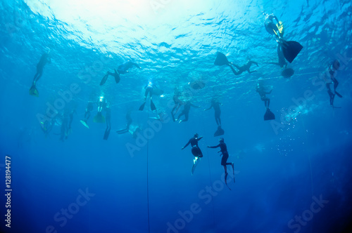 Freediving training in the depth of Blue Hole photo