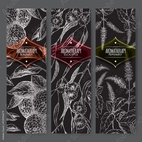 Three labels with bergamot, peppermint and eucalyptus sketch on black.
