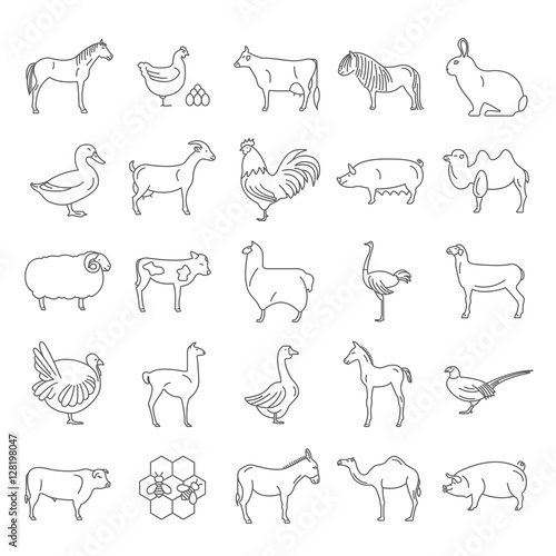 Farm animal thin line collection. 25 icon set. Flat design