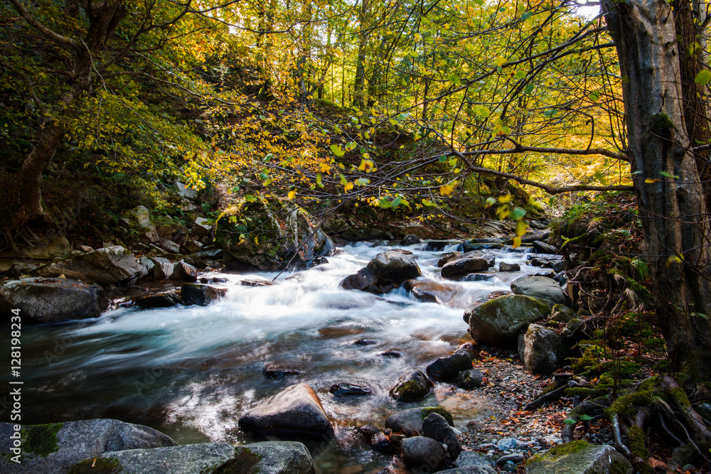 Wild carpathian river Wild carpathian river