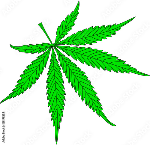 cannabis, cannabis leaf,