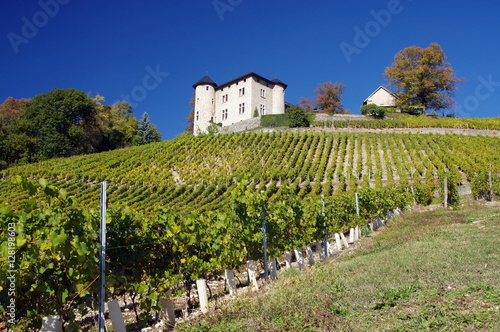 vignobles de Monterminod photo