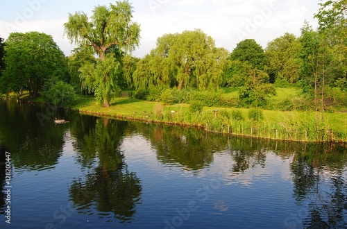 Peaceful pond in Regents Park in London.