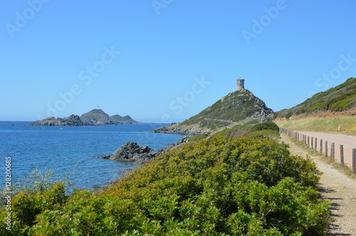 Les iles sanguinaires en Corse photo