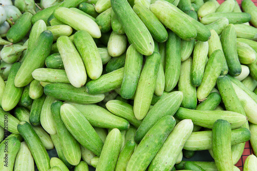 Fresh green cucumber, on the market.