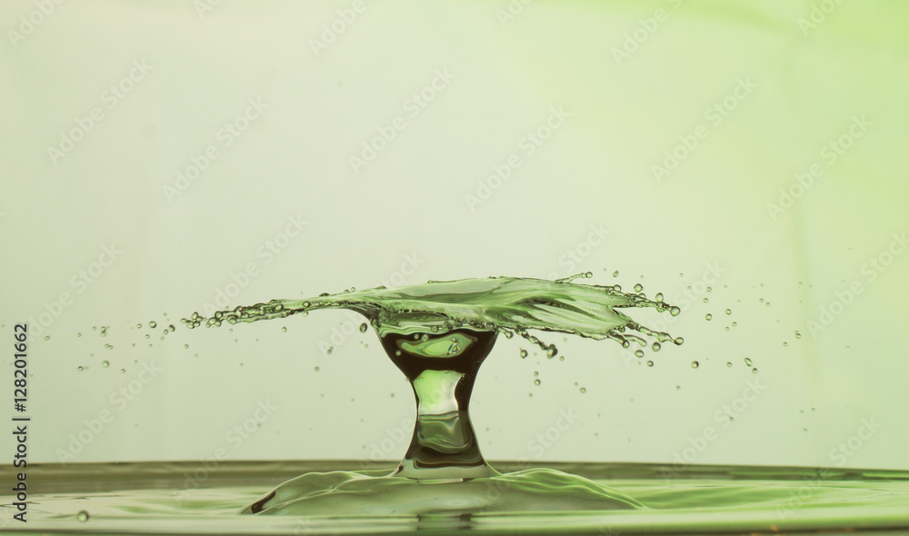 Wasserschirmchen