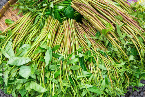 Swamp Morning Glory  Water spinach  Vegetable