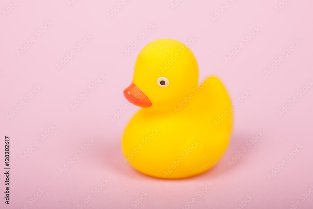 Cute yellow rubber duck on pink background Cute yellow rubber duck on pink background
