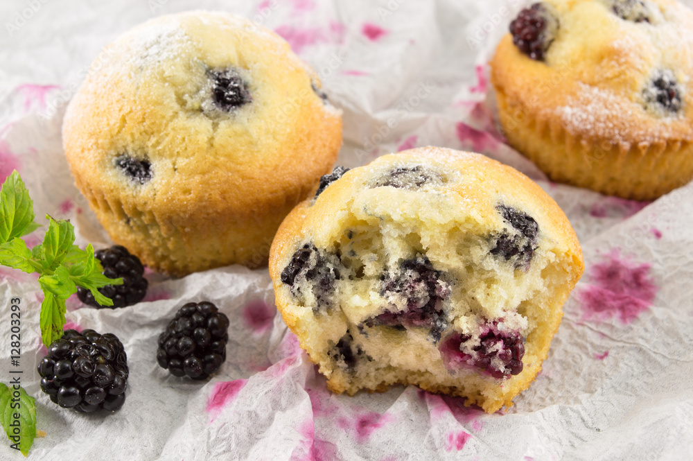 blackberry muffins covered with sugar powder blackberry muffins covered with sugar powder
