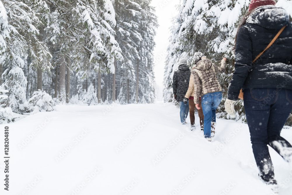 Friends Group Snow Forest Young People Walking Outdoor Winter Pine Woods