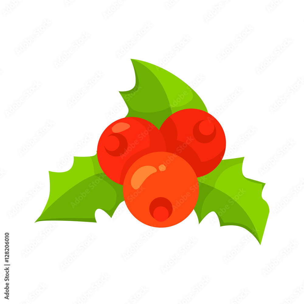 Vector of European Holly leaves and fruit isolated on white. Cartoon style. Cute funny christmas icon. EPS 10 Vector illustration. Vector of European Holly leaves and fruit isolated on white. Cartoon style. Cute funny christmas icon. EPS 10 Vector illustration.