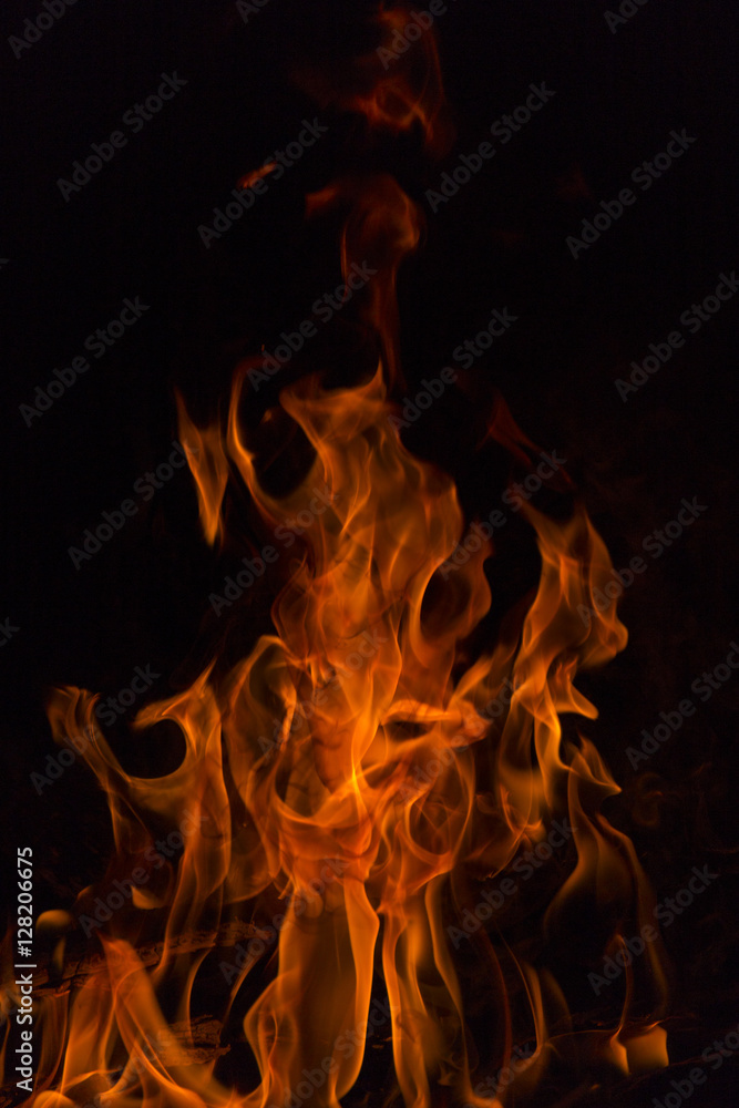 Fototapeta premium Fire flames.