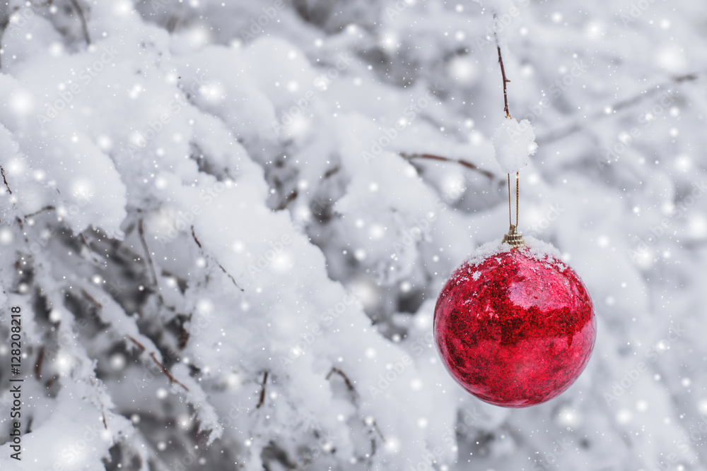 Red Christmas ball hanging on a snowy branch in the winter forest. Merry Christmas and Happy New Year theme Red Christmas ball hanging on a snowy branch in the winter forest. Merry Christmas and Happy New Year theme