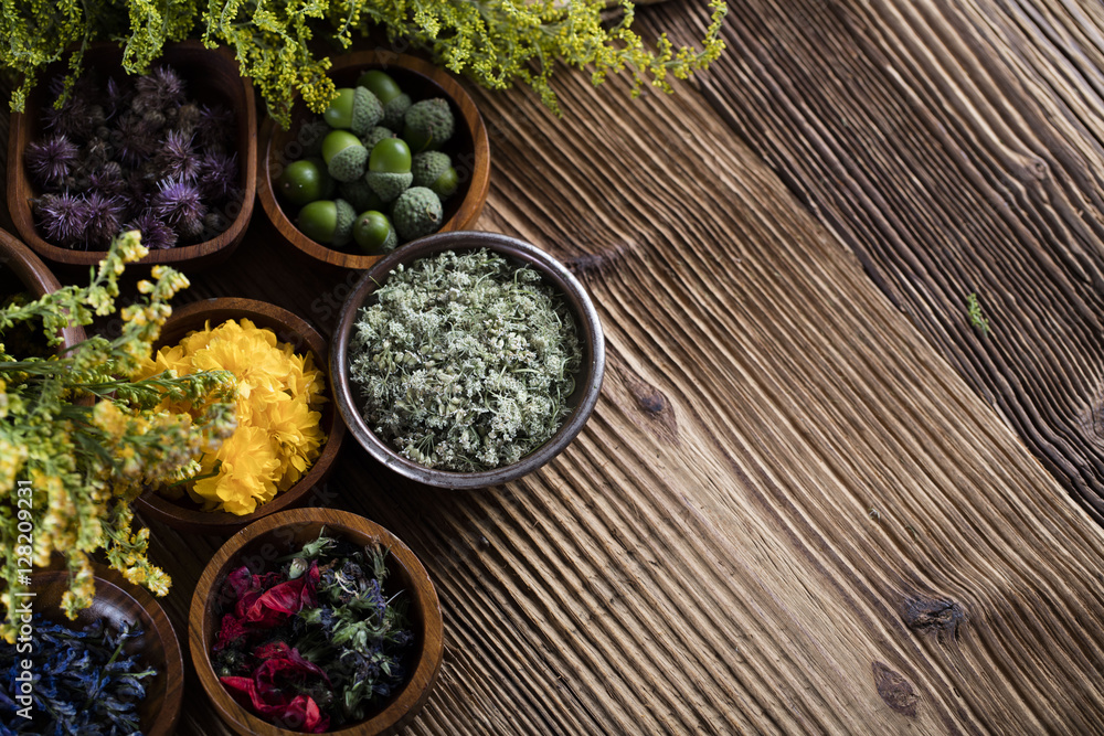 Assorted natural medical herbs and mortar Assorted natural medical herbs and mortar