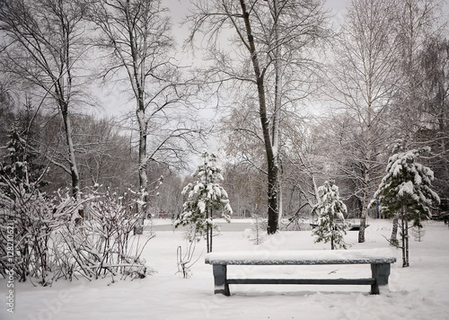 The bench in winter park