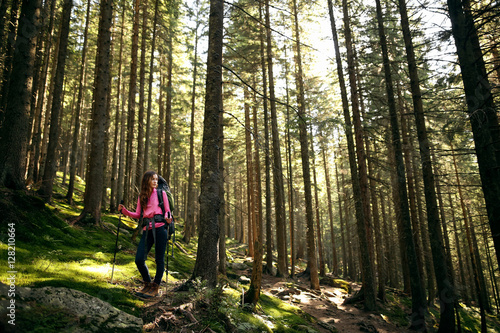 Young backpacker with backpack traveling along forest. The forest is beautiful and mysterious. Young female hiker walking in beautiful lush pine forest nature landscape in mountains.