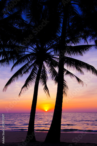sunset landscape. beach sunset.  palm trees silhouette on sunset © EwaStudio