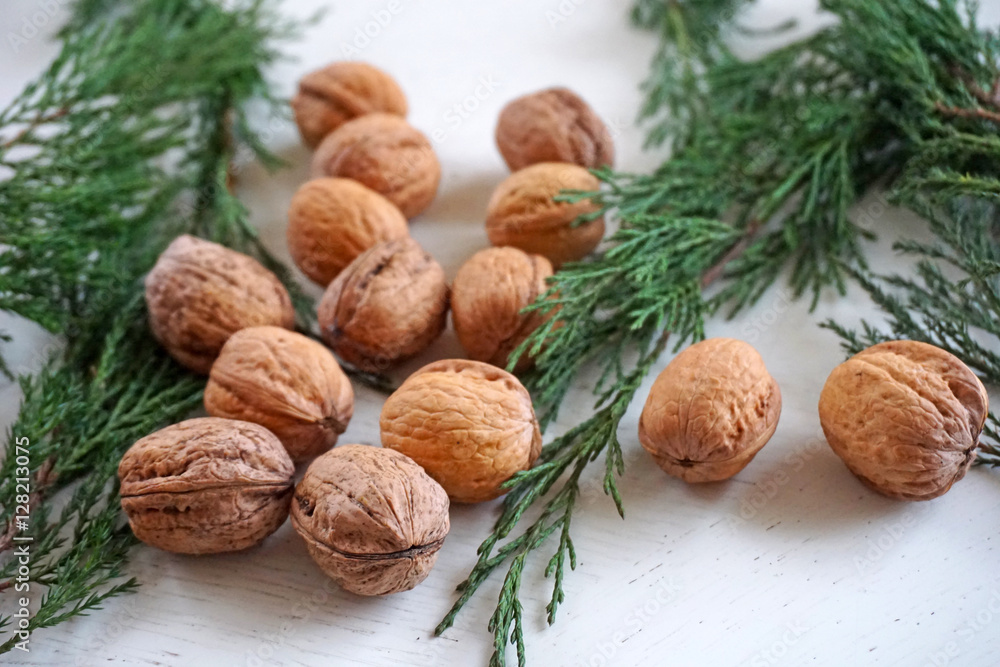 Nuts and Christmas tree on the white background. Place for text Nuts and Christmas tree on the white background. Place for text