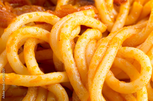 Detailed macro view on cooked spaghetti with sauce