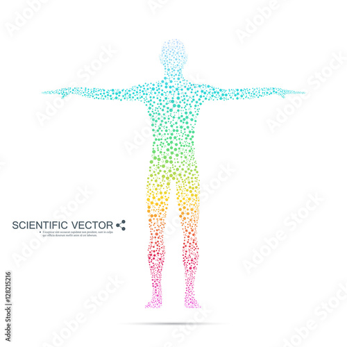 Structure molecule of man. Abstract model human body DNA . Medicine, science and technology. Scientific Vector for your design.