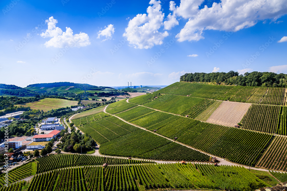Weinanbau in weinsberg am Neckar wein reben Weinanbau in weinsberg am Neckar wein reben