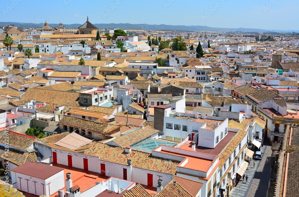 View over Cordoba, Spain.