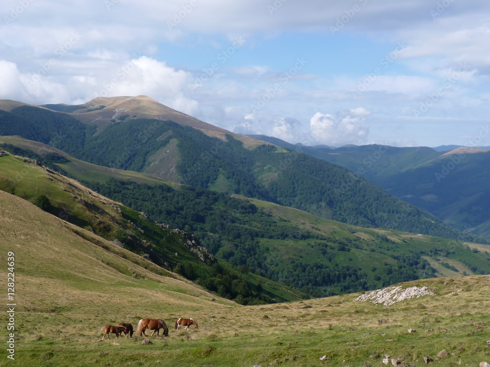 Beautiful mountain landscape. Horses grazing on the background of mountain peaks, Pyrenees