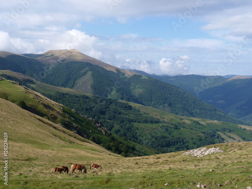 Beautiful mountain landscape. Horses grazing on the background of mountain peaks, Pyrenees