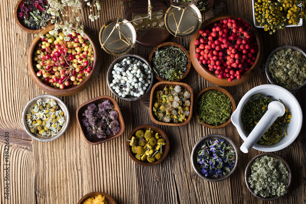 Assorted natural medical herbs and mortar Assorted natural medical herbs and mortar