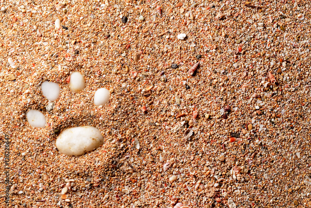 dog footprint made with white rocks on sand