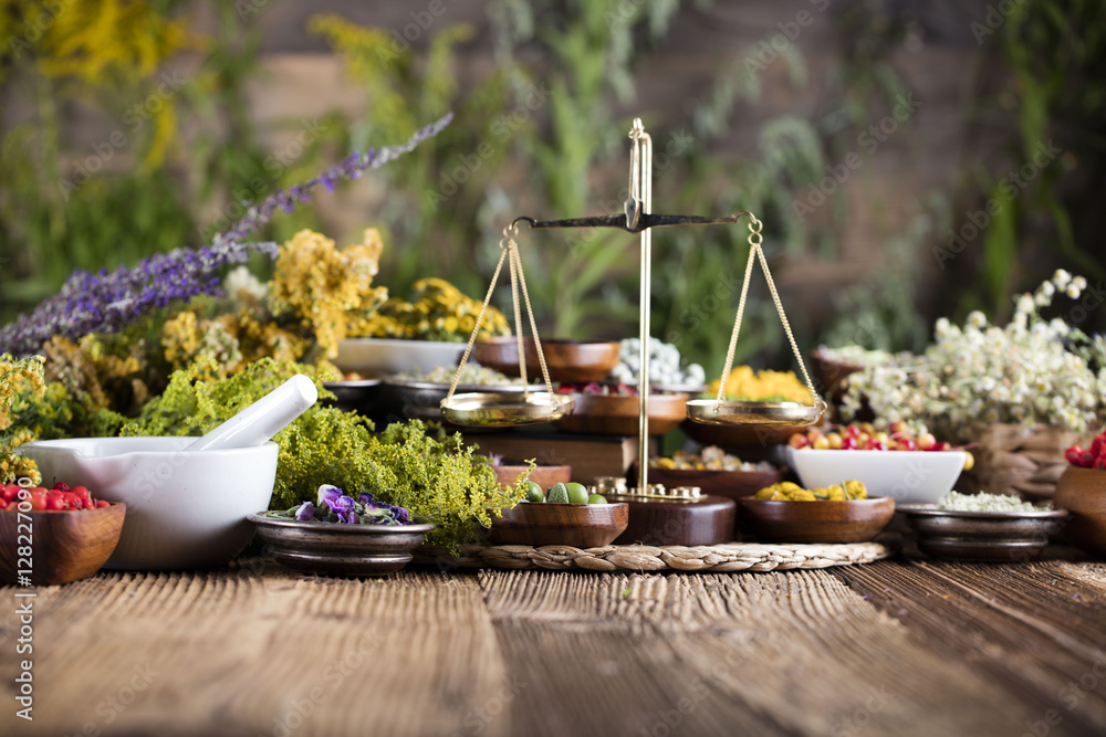 Assorted natural medical herbs and mortar Assorted natural medical herbs and mortar