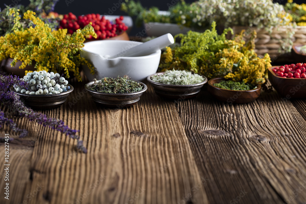 Herbs, berries and flowers with mortar, on wooden table background Herbs, berries and flowers with mortar, on wooden table background