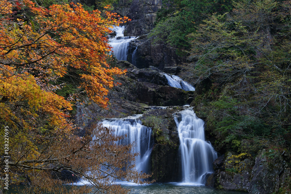 waterfall / The autumn leaves and waterfall, there are extremely beautiful.