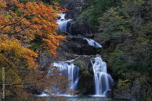 waterfall / The autumn leaves and waterfall, there are extremely beautiful. © kazutakadream
