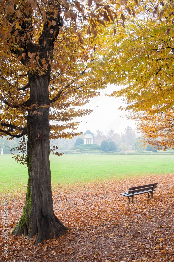 View of Querini park in Vicenza during fall View of Querini park in Vicenza during fall
