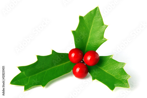 Bright green Christmas holly with red berries isolated on white photo