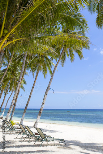 Beautiful tropical beach, palm tree and sea water © OlegD