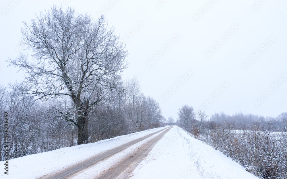 Vanishing snow-covered straight dirt road on earthfill between frozen rivers at dusk. Novgorodsky region, Russia
Vanishing snow-covered straight dirt road on earthfill between frozen rivers at dusk. Novgorodsky region, Russia