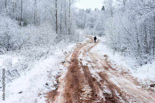 Man goes on vanishing snow-covered dirt road through winter forest. Novgorodsky region, Russia 