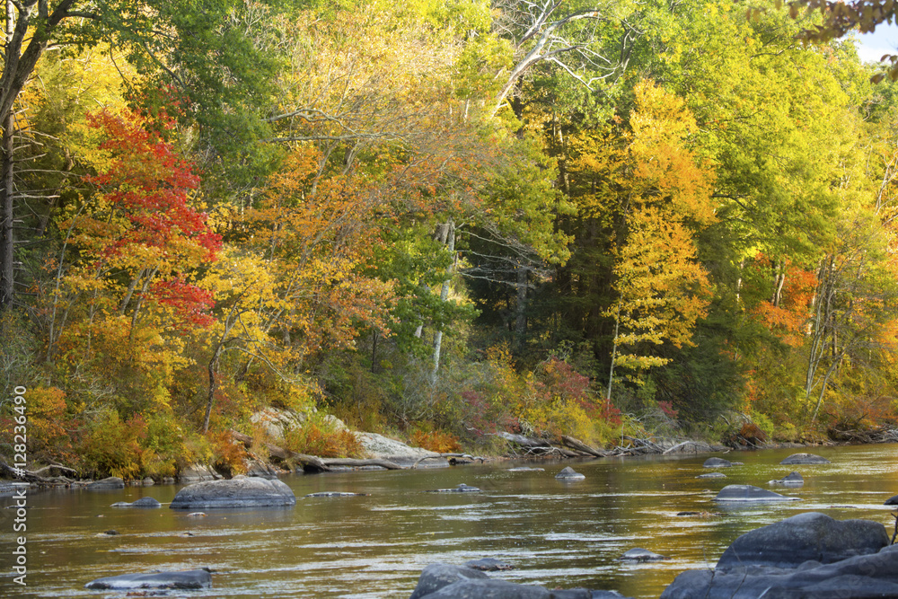 Farmington River flows by vibrant fall foliage in Canton, Connecticut. Farmington River flows by vibrant fall foliage in Canton, Connecticut.