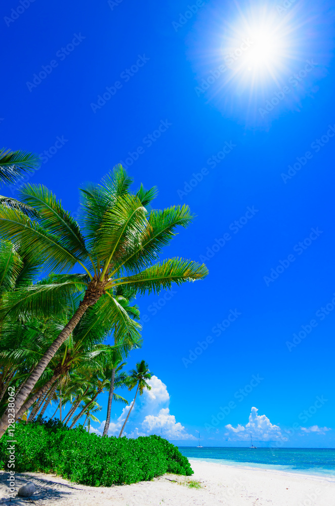 Naklejka premium Palm Ocean Sky