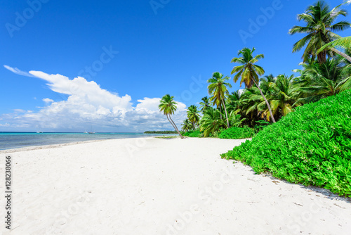 Fototapeta Naklejka Na Ścianę i Meble -  paradise tropical beach palm